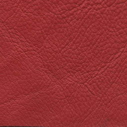 皮革贴图 探索皮革纹理的多样性与应用